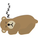 bear
