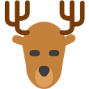 reindeer